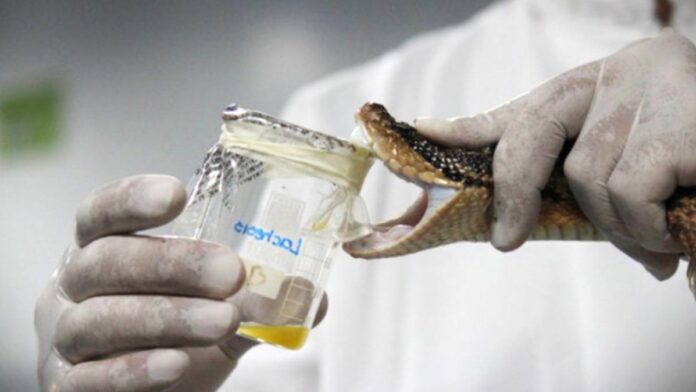 f562657d-7dee-4c2a-8fed-4614904d519d