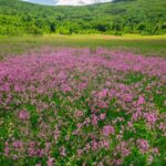 494759932_2569599323380722_7989432042475802045_n-650×1101