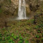 494921070_2569587623381892_1478308356627595641_n-650×1073