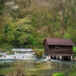 495233459_2569589673381687_6544751589466005465_n-650×834