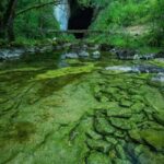 495455538_2569587780048543_1187163671515526578_n-650×1015