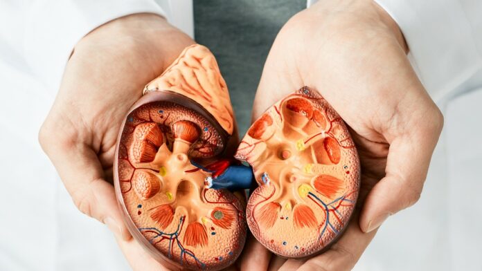 tGjktkpTURBXy9mNGY5NWU3ODZkN2UzOGI1Njk4Nzg2ZWIwOTQzNjQyMi5qcGeRkwXNBLDNAqM