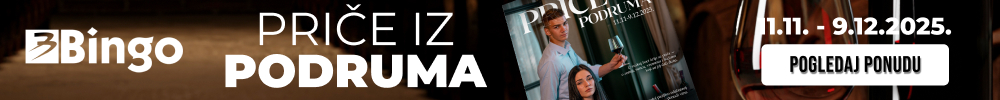 ISPOD ČLANKA – BINGO